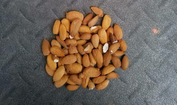 تصویر 2 از خرید و قیمت مغز بادام مامایی عمده + فروش عمده